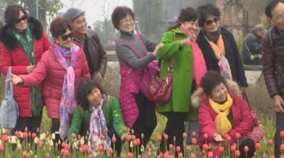 QQ截图20190319164838.png