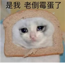392e2410c0b9e0ef3fc845bdfaf4f9e9.png