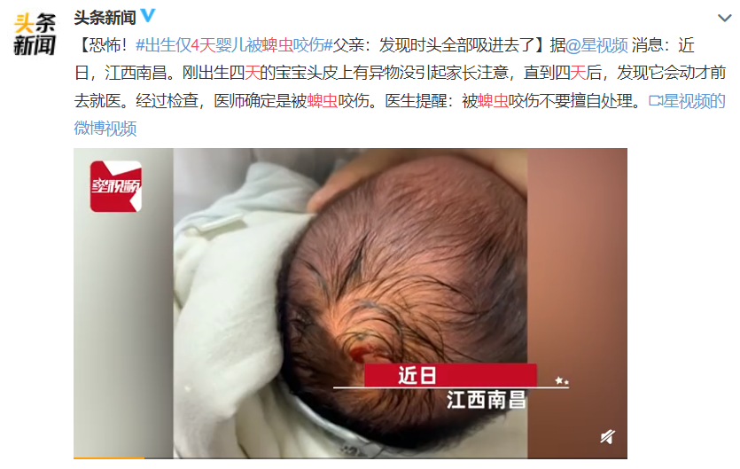 f451e86e95a9555a3a4ce67ba5be034f.png